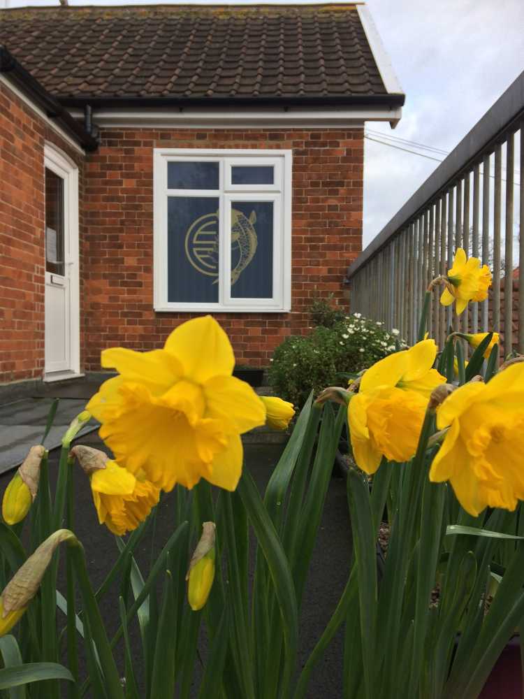 Coronavirus Office Closure